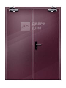 Противопожарная дверь EIW-15 двупольная со скрытыми петлями ДП-111