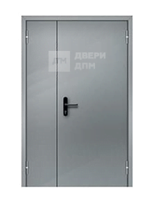 Противопожарная дверь для торговых центров глухая ДП-311